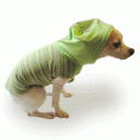 Dog Knit Hoodie “Spring a la Mode Hoodie”